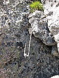 IMG_3141