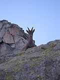 IMG_3168