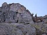 IMG_3169