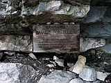 IMG_9510