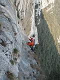 IMG_9533