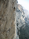 IMG_9546