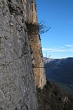 IMG_0748