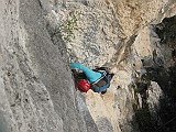 IMG_9660