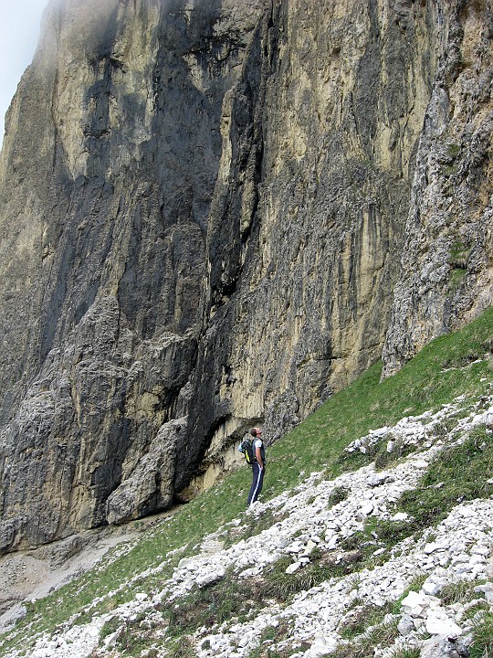 IMG_2720.JPG - In cerca di ispirazione ?