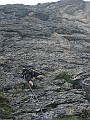 IMG_2699