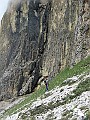 IMG_2720