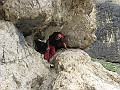 IMG_2722
