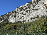 IMG_6256