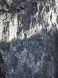 IMG_6257