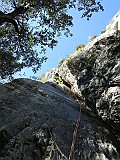 IMG_6258