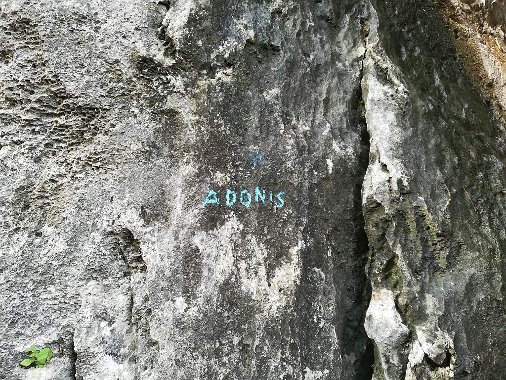 IMG_20181125_101641.jpg - Bella vietta della Parete San Paolo Sud. Tra le poche asciutte dopo le piogge dei giorni precedenti. Relazione sul sito di Grill http://www.arrampicata-arco.com/via-adonis.html 