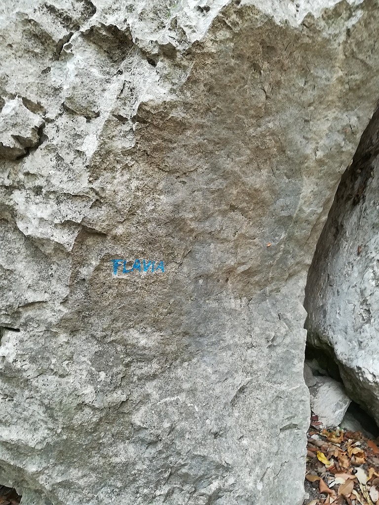 IMG_20181125_133641.jpg - Una volta completata Adonis si può fare una via sulla bastionata del Monte Colt. Abbiamo trovato roccia ottima e perfettamente asciutta nonostante le piogge dei giorni precedenti.La via scelta è la Flavia, tra le prime aperte sulla parete. La via è stata recentemente ripulita dalla banda di Grill e si snoda tra camini, diedri e placche ricercando con logica i punti deboli della parete. A destra e a sinistra ci sono vie sportive ben più difficili anche se protette a spit. Relazione qui http://www.arrampicata-arco.com/via-flavia.html