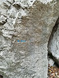 IMG_20181125_133641