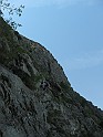 IMG_7409