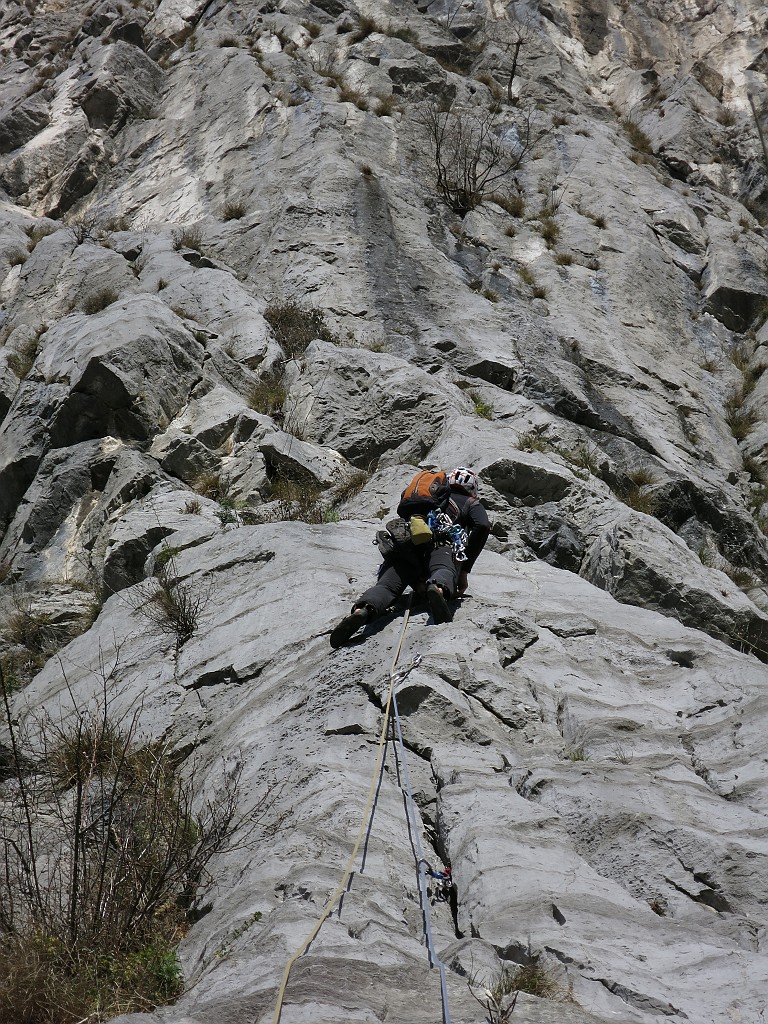 IMG_4528.JPG