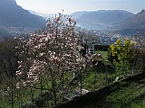 IMG_4520