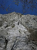 IMG_4525