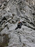 IMG_4528