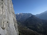 IMG_4529