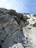 IMG_4559