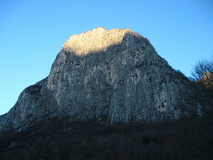 IMG_7309.JPG