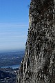IMG_7321