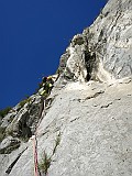 IMG_6184