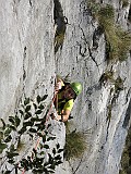IMG_6185