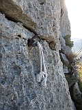 IMG_8078