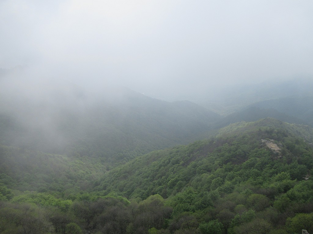 IMG_0267.JPG