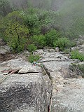IMG_0251