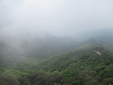 IMG_0267