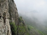 IMG_0268