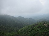 IMG_0272