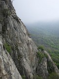 IMG_0504