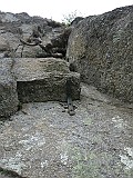 IMG_0509