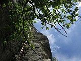 IMG_0515