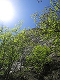 IMG_0517