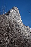 IMG_0987