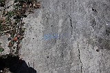 IMG_0988