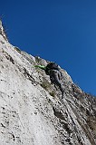 IMG_0993