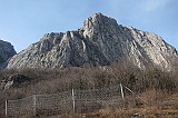 IMG_1008