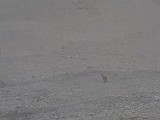 IMG_3341