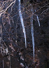 IMG_2217