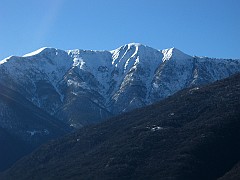 IMG_2223