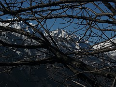 IMG_2225