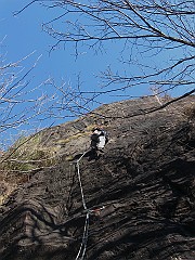IMG_2229