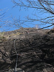 IMG_2231