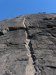 IMG_2232